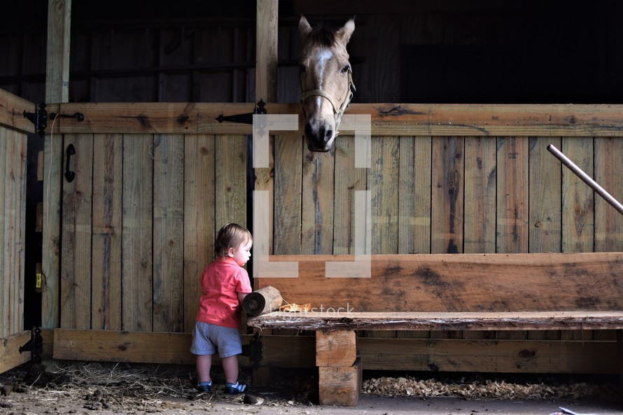 a little boy in a stable visiting with horses 