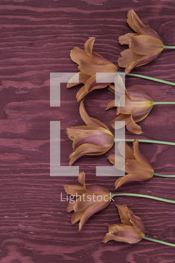 lilies on a wood background 