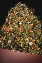 Illuminated Christmas tree