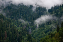 Waterfalls in the mountain forest after the rain