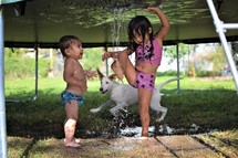 kids and puppy playing in water under a trampoline 