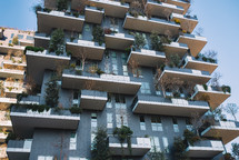 Trees on a building balconies
