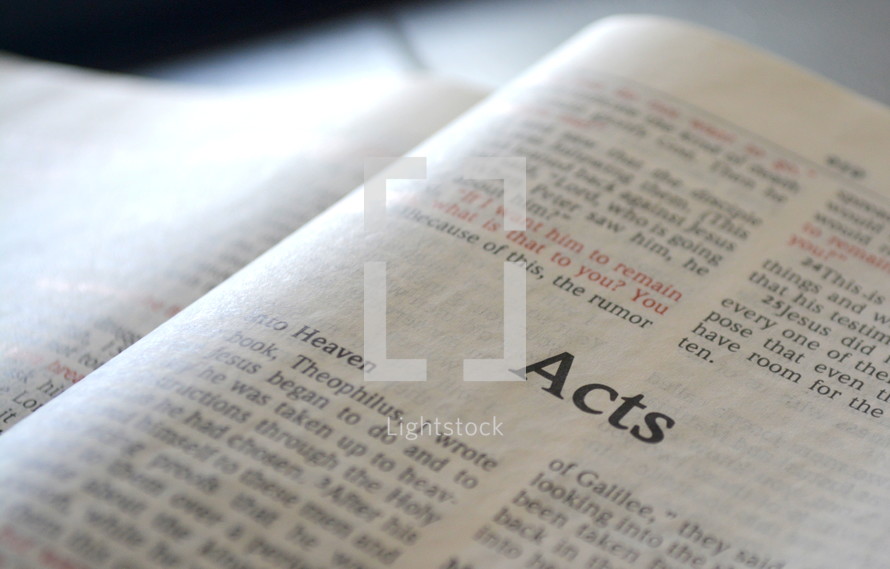 Acts in a Bible 