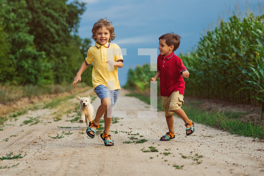 Happy Kids Running Together With Golden Retriever Puppy On Green Nature Background. Smiling Brothers.