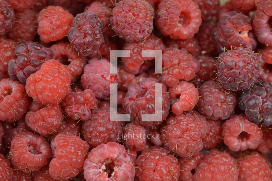 raspberries background 