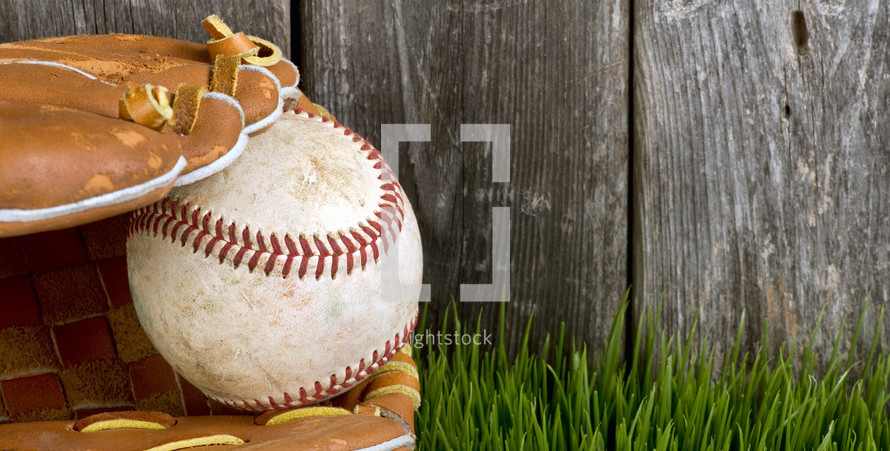baseball in a glove in the grass 