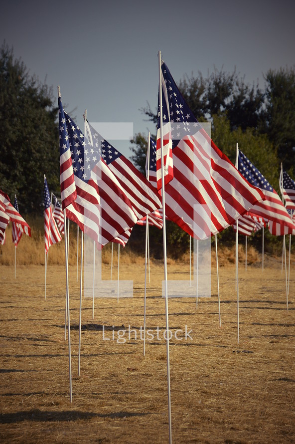 flags in memorial. 
