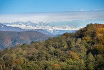 Autumn colors and snowy mountains