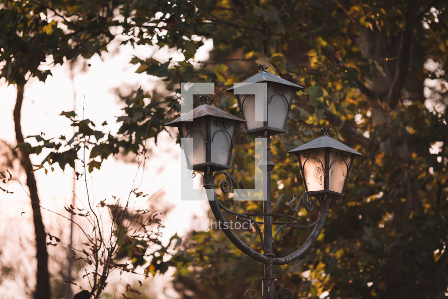 Vintage street lamps in the evening