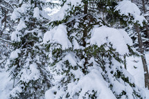 Heavy snowfall in the forest