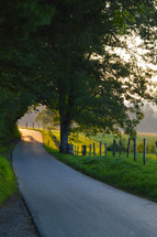 country road in summer 