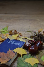 Bible and fall nature items 