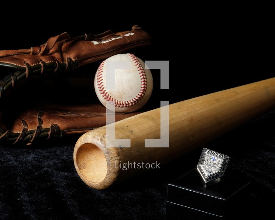 baseball bat and baseball glove 