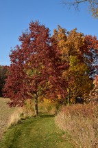 Bright autumn colors fill the landscape with vibrant red and orange foliage against a clear blue sky. A grassy path winds through the middle