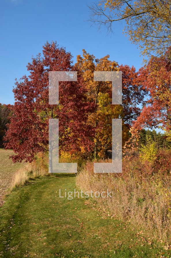 Bright autumn colors fill the landscape with vibrant red and orange foliage against a clear blue sky. A grassy path winds through the middle