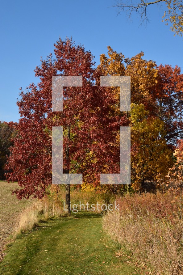 Bright autumn colors fill the landscape with vibrant red and orange foliage against a clear blue sky. A grassy path winds through the middle