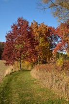 Bright autumn colors fill the landscape with vibrant red and orange foliage against a clear blue sky. A grassy path winds through the middle