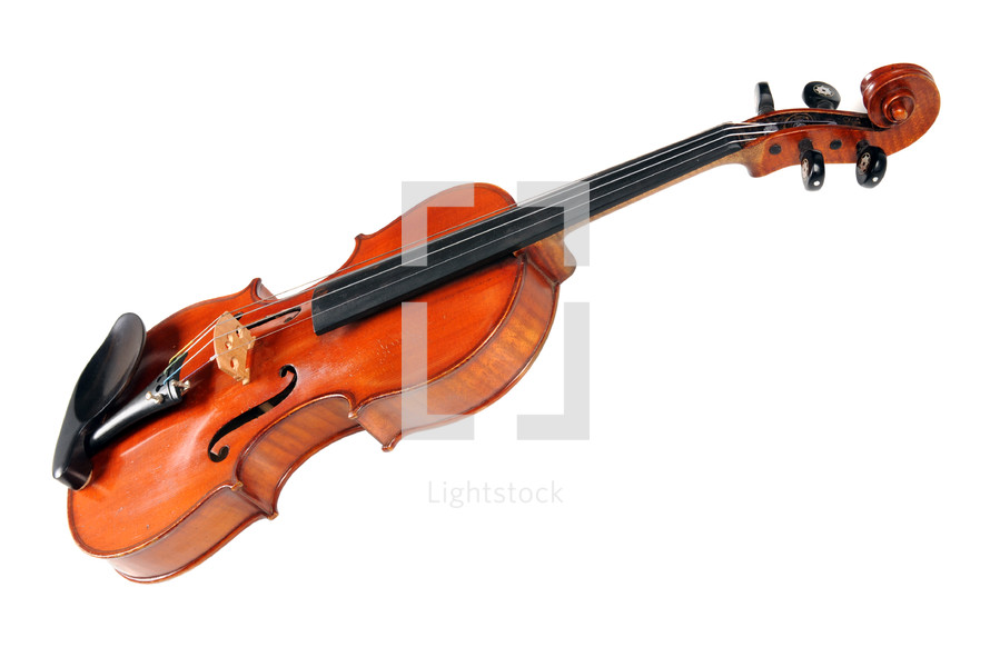 A violin on a white background.