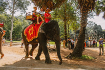 riding an elephant in Cambodia 