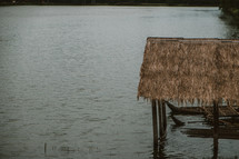 grass thatched roof off a boat house