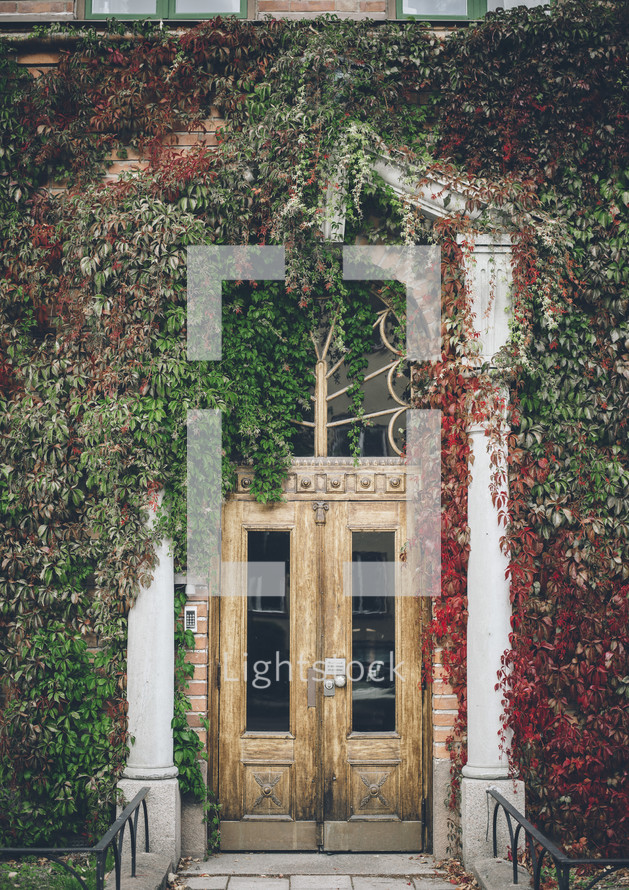 ivy over a doorway 