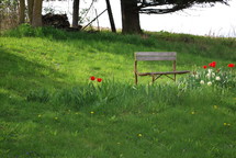 bench in a park surrounded by spring flowers 