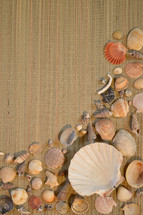 variety of seashells on straw mat