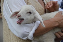 shepherd holding a lamb