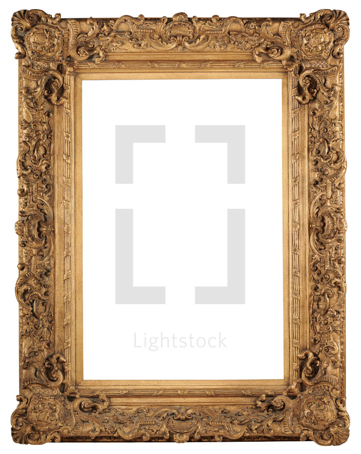 Ornate, gold picture frame