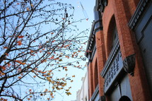 brick building downtown in fall 