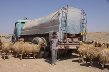 Shepherd boy, sheep, and a water truck in the desert