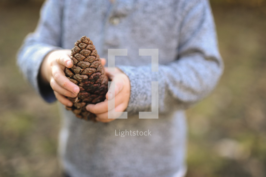 a toddler boy holding pine cone 