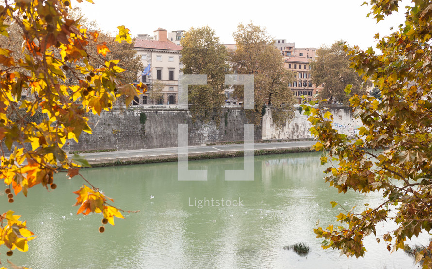 Roman glimpse of the Tevere river with autumn leaves
