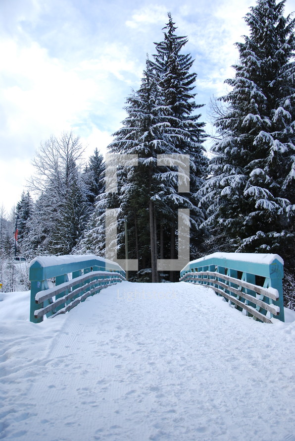 winter scene with a snowy bridge 