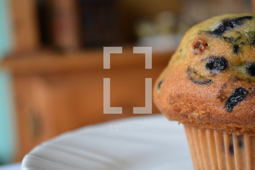 Blueberry muffin on a white plate.