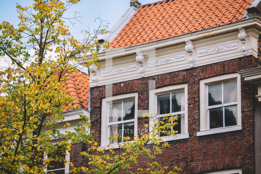 Dutch architecture and yellow leaves