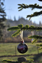 ornament hanging on a Christmas tree outdoors 