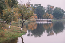 Autumn trees by the lake