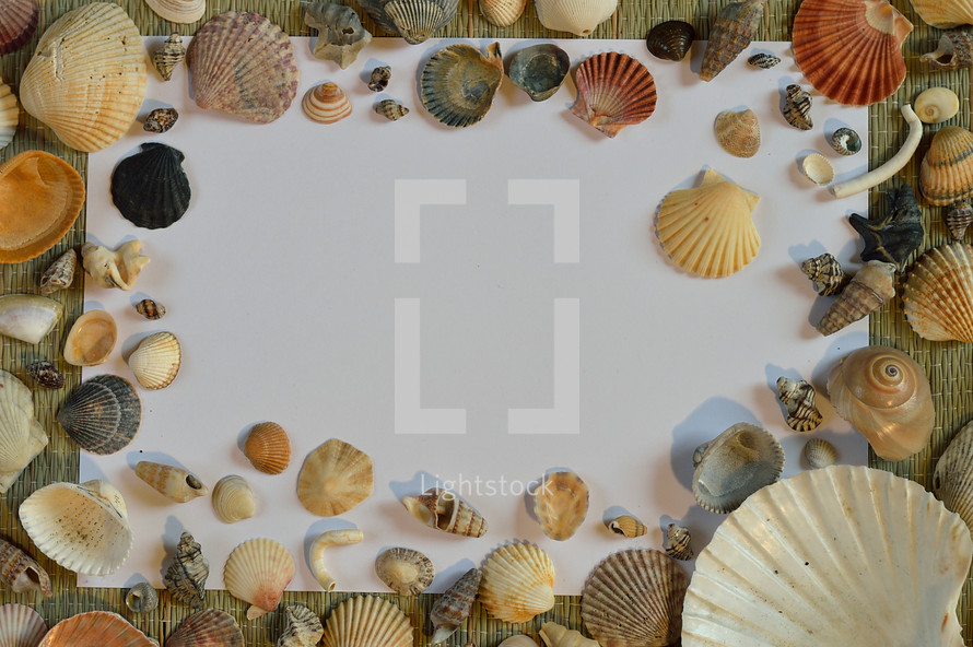blank paper and seashells, on a beach mat 