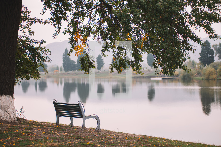 Bench by the lake in autumn