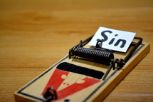 word sin on mousetrap 