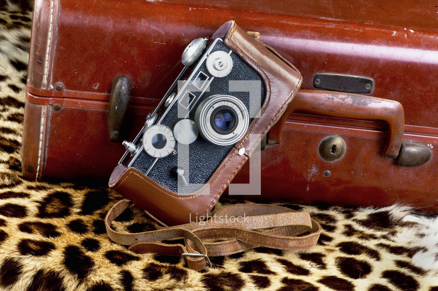vingage camera and luggage on leopard spots 
