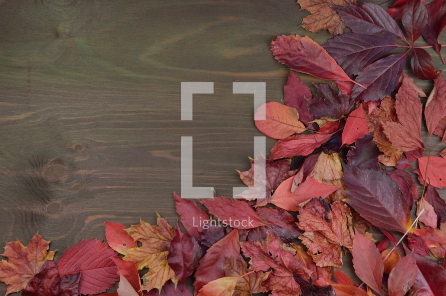 fall leaves border on brown wood background