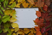 fall leaves border and notebook -
colorful autumn leaves in color gradient on brown wood with a blank spiral bound notebook in the middle