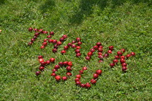 Thank You written with cherries in the grass 