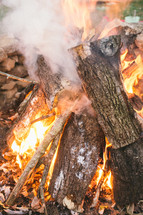 burning wood 