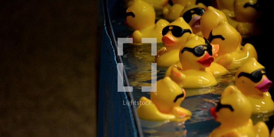 rubber duckies in water 