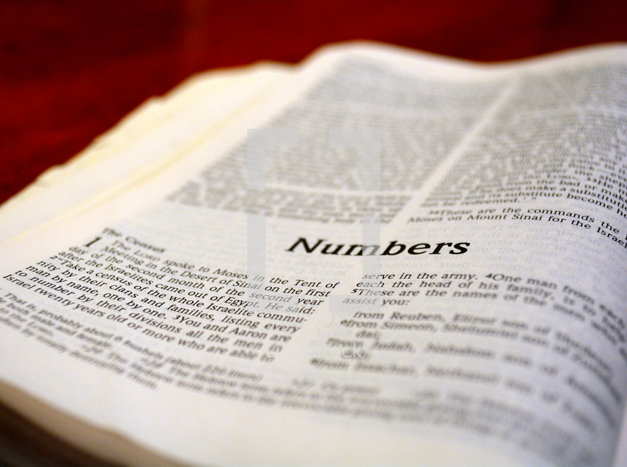 A Bible opened to Numbers.
