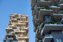 Building balconies with trees