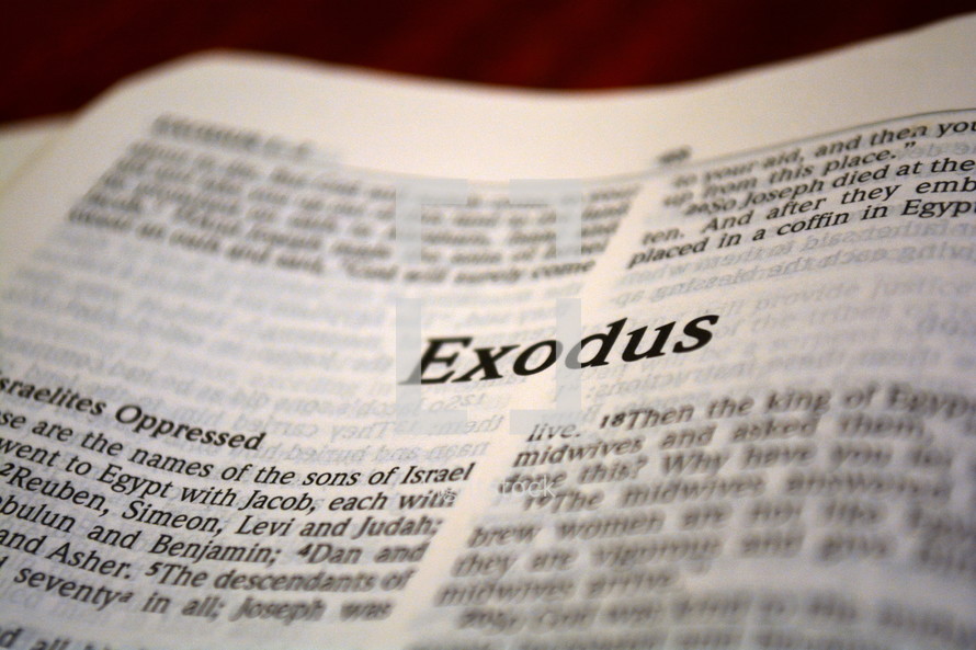 A Bible opened to Exodus.